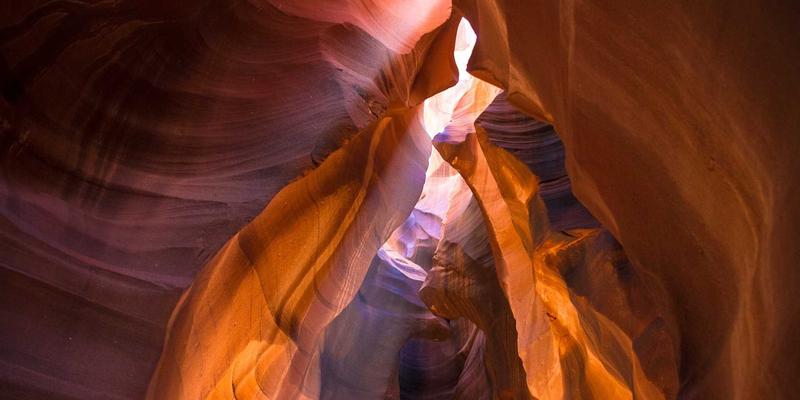 IT教程：服务器管理与网络安全视角下的网络性能监控（NPM）工具选型指南与最佳实践