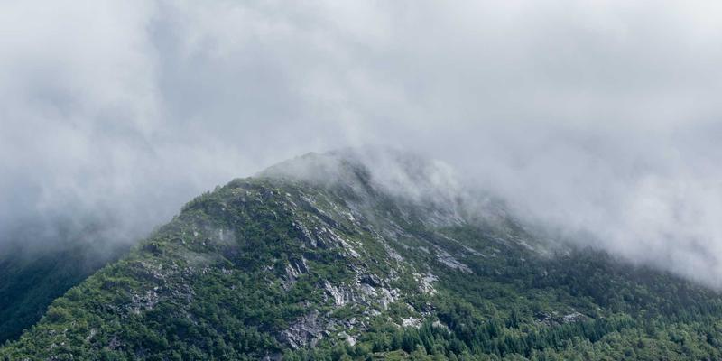 Network Technology 44：服务器管理与编程实践的融合指南