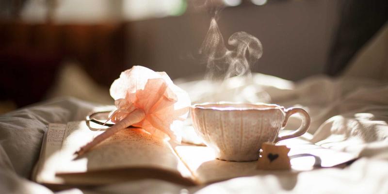 Network Technology 81：编程、资源共享与IT教程如何重塑现代技术生态