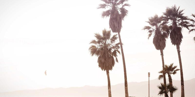 Network Technology 深度解析：如何通过编程思维与 Server Management 规划高密度场所 Wi-Fi 覆盖