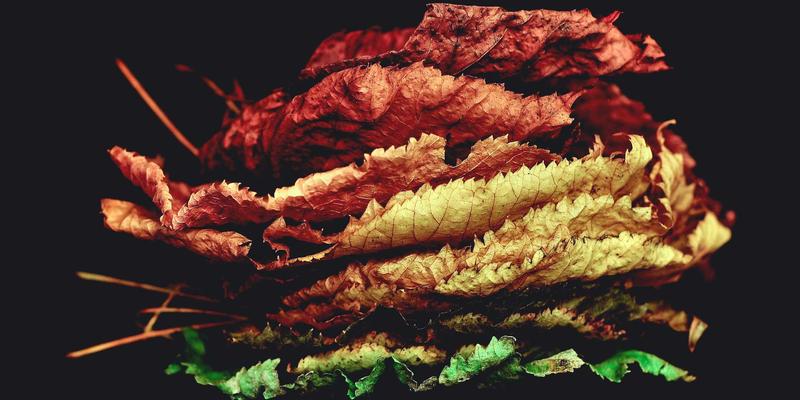 Wi-Fi 7标准深度解析：为编程、网络安全与IT基础设施带来的革命性变革