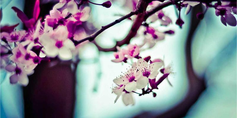 从NFV到CNF：编程思维如何重塑网络技术与服务器管理