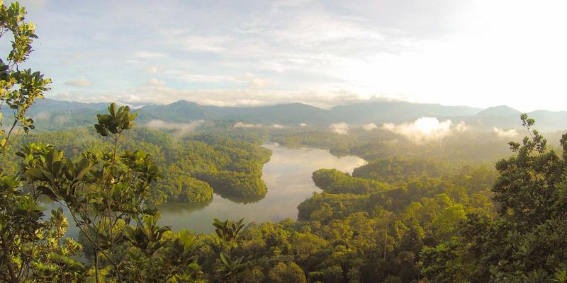 从被动监控到主动预测：AIOps如何重塑网络性能管理（NPM）的实践与编程