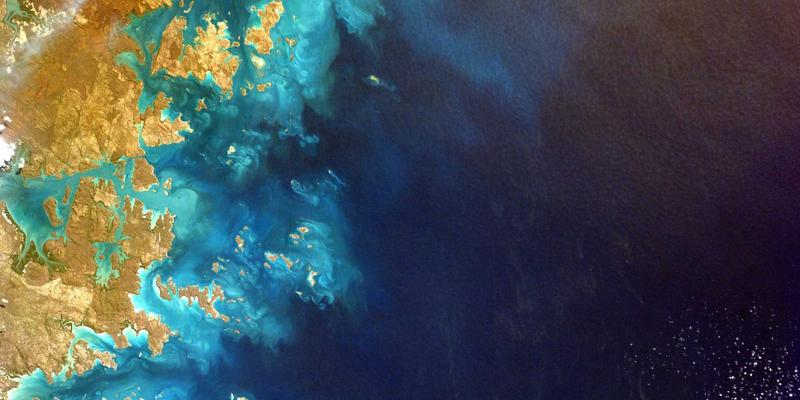 从资源共享到可编程网络：网络技术的进阶之路与未来展望