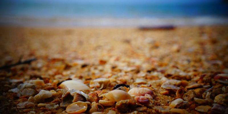 编程与服务器管理视角下的边缘计算：如何利用网络技术优化延迟