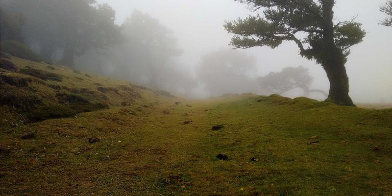 网络功能虚拟化（NFV）实践指南：编程与架构设计驱动电信云转型