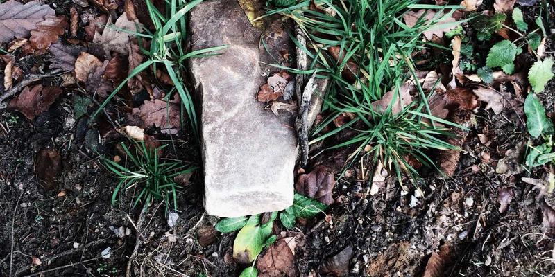 网络安全与网络技术深度解析：时间敏感网络（TSN）如何重塑工业自动化