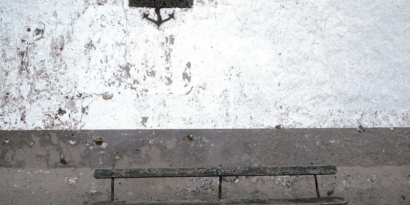 网络技术全攻略:从编程入门到网络安全防护的实战指南