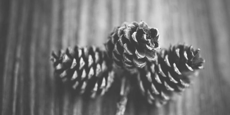 网络遥测技术：实现全栈可视性与智能故障预测的现代网络管理革命