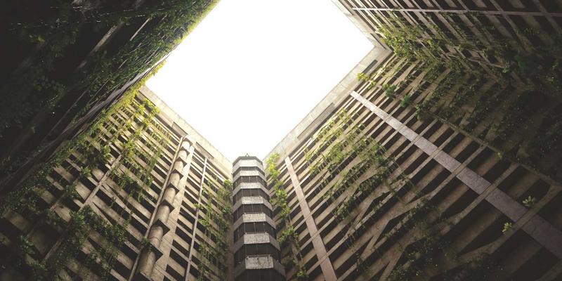 边缘计算网络架构实战指南：通过Server Management与Programming构建低延迟应用